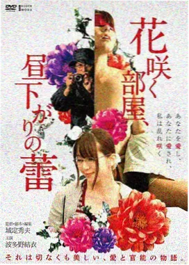 南方候鸟 文艺剧情片
